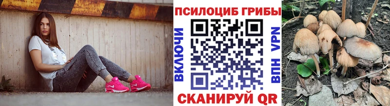 дарк нет телеграм  Шумиха  Псилоцибиновые грибы прущие грибы 